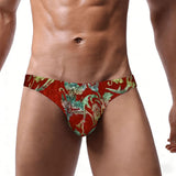 Men's Bikini Underwear Burgundy Velvet
