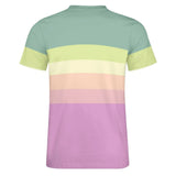 Color Palette Stripes Cotton T-shirt 22