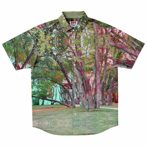 Mystery Trees Button Down Shirt