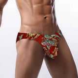 Men's Bikini Underwear Burgundy Velvet