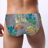Men's Bikini Underwear Gray  Velvet